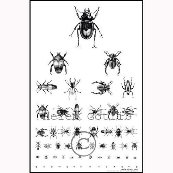 Bugs Chart