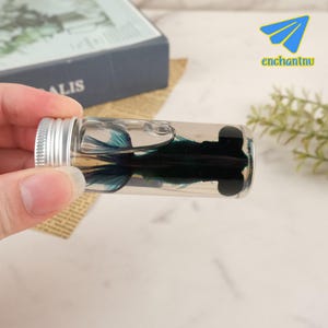 Ethically Sourced Transparent Goldfish Skeleton Specimen - Handmade Stained Bone Display For Science Education & Decoration