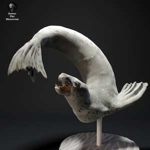 May include: A detailed sculpture of a leopard seal in a dynamic pose, with its body arched and tail raised. The seal is primarily grey with darker spots, and its mouth is open, revealing teeth. The sculpture is mounted on a white stand.