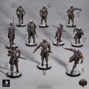 May include: A collection of miniature figures of the Graveward Legion, each posed in a dynamic stance. The figures are clad in detailed armor with swords and spears. The base is approximately 1.25 inches in diameter. The text "Graveward Legion" is visible.