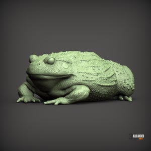 Può includere: Una statuetta di rospo verde chiaro con una superficie cutanea altamente strutturata e irregolare e occhi prominenti. La creatura è raffigurata in posizione di riposo con le zampe anteriori estese. Il testo 3 ALEXANDER ART è visibile in basso a destra.