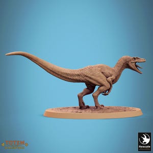 Wild Jurassic Velociraptor | 32mm and more scales | plant-based resin 3d print | Dungeon and Dragons | Tabletop and Wargame Miniatures