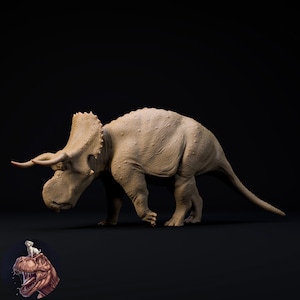 Nasutoceratops | 32mm and more scales | plant-based resin 3d print | Nature | Wild Life | Display Piece | Miniatures