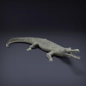 May include: A detailed, gray crocodile figurine with an open mouth, revealing sharp teeth. The reptile has a textured, scaly skin pattern and is lying on a dark gray surface. The figurine is a realistic representation of a crocodile.