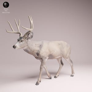 Könnte beinhalten: Detaillierte Figur eines Hirsches mit großem Geweih. Der Hirsch ist überwiegend weiß mit dezenten grauen Markierungen und steht in einer Laufhaltung. Das Geweih ist hellbeige. Die Figur ist wahrscheinlich Teil einer Sammlung von Tierminiaturen.