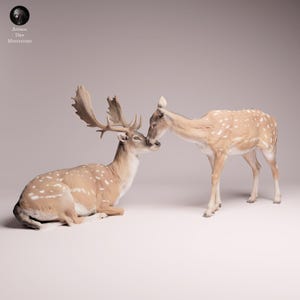 May include: A pair of deer figurines, one lying down and the other standing, touching noses. The deer are light brown with white spots, and the lying deer has large antlers. The background is a soft, neutral color.