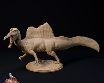 最後の1点、発送準備完了！博物館品質の壁掛けスピノサウルスの頭蓋骨