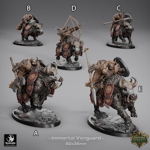 Immortal Vanguard | UNPAINTED | 32mm and more scales | plant-based resin 3d print | Dungeon and Dragons | Wargame Miniatures