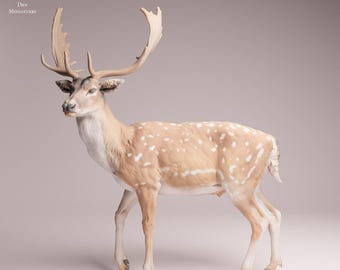 Può includere: Statuetta dettagliata di un cervo con grandi corna. Il cervo ha un mantello marrone chiaro con macchie bianche. Le corna sono di colore marrone chiaro. La statuetta è su una superficie di colore chiaro. Il testo "ANIMAL DES MINIATURES" è nell'angolo in alto a sinistra.