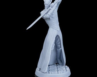 Tharion, il Re d'Argento / NON DIPINTO / Scala 32 mm e superiori / Stampa 3D in resina a base vegetale / Dungeons and Dragons / Miniature per giochi di guerra