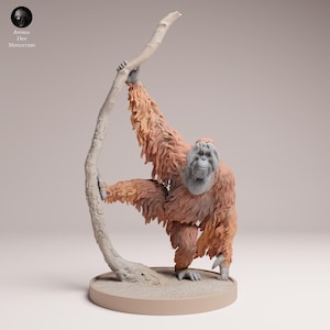 Puede incluir: Figura detallada de un orangután, en tonos naranja y marrón, agarrando una rama de color claro. La cara del primate es de un tono más claro, y la escultura está montada sobre una base circular. El logotipo "ANIMAL DES MINIATURES" es visible.