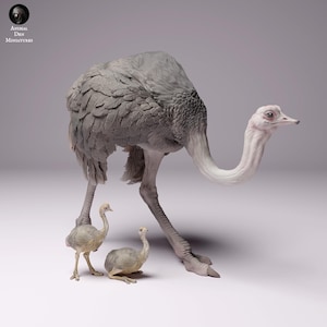 North African Ostrich with Chicks | UNPAINTED | plant-based resin 3d print | Nature | Wild Life | Display Piece | Miniature