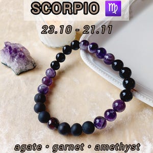 Scorpion Zodiac Bracelet with Garnet, Amethyst, Agate / Empath Protection Talisman
