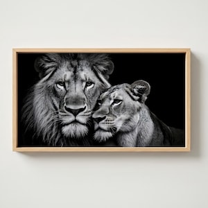 Lyons frame TV Art - Wildlife Art - Black and White - Animal Artwork - Art for Frame tv- Samsung Frame Art - TV frame art - TV Wall Art