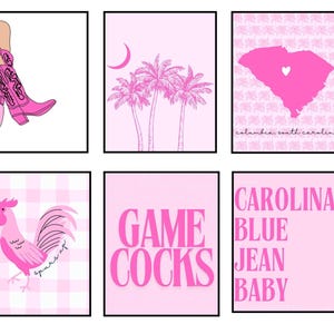 USC University of South Carolina Pink Digital Wall Prints Set of 6