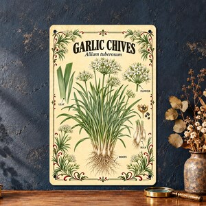 May include: A rectangular metal sign featuring a botanical illustration of Garlic Chives, labeled Allium tuberosum. The print displays green leaves, white flower clusters, and roots, with text labels pointing to the leaf, flower, and bulb.