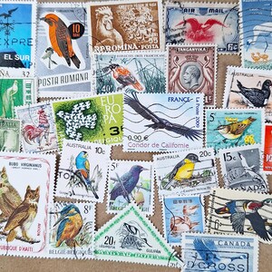 Peut inclure: Une collection de timbres-poste vintage illustrés de diverses espèces d'oiseaux du monde entier. Les timbres présentent des dessins colorés de hiboux, perroquets, aigles et oiseaux aquatiques, avec des textes imprimés indiquant les pays.