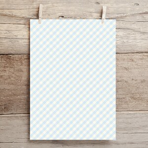 May include: A sheet of light blue and white gingham fabric hanging on a wooden background.