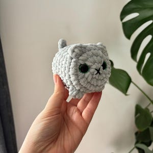 May include: A small, handmade, gray crocheted cat with black eyes and a stitched 'X' for a mouth. The plush toy has a rounded body and a small tail. The cat is held in a hand, with a green plant in the background.