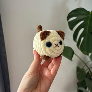 May include: A small, round, cream-colored crocheted cat with brown accents on the ears, paws, and tail. The cat has large blue eyes and a stitched nose. The handmade plush toy is held in a hand.
