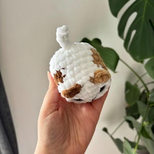 May include: A handmade, plush, white and brown crocheted cat toy. The toy has a rounded body with brown spots and a white tail. The cat toy is held in a hand, with a green plant in the background.