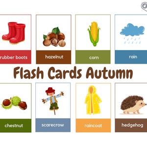 Cartões ilustrados Inglês Outono - Flash Cards - Cartões de aprendizagem para crianças - Download digital - PDF para impressão - Montessori