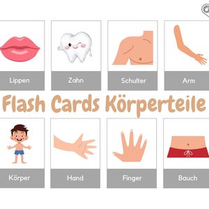 体の部位の絵カード - フラッシュカード - 子供向け学習カード - デジタルダウンロード - 印刷用 PDF - モンテッソーリ