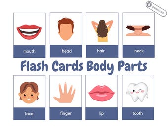 Picture Cards English Body Parts - Flash Cards - Learning Cards for Children - Digital Download - PDF to print - Montessori