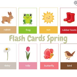 Picture Cards English Spring - Flash Cards - Schede didattiche per bambini - Download digitale - PDF da stampare - Montessori