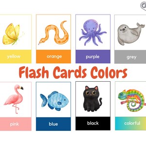 絵カード 英語の色 - フラッシュカード - 子供向け学習カード - デジタルダウンロード - 印刷用 PDF - モンテッソーリ
