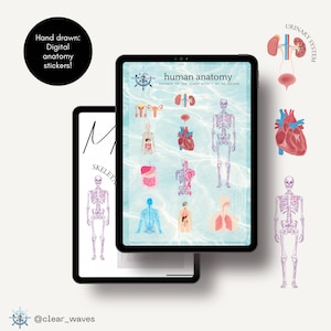 Systems of the body - Digital Anatomy Stickers