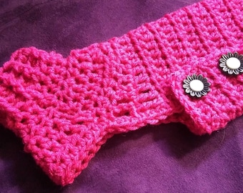 XS Pet Sweater Crochet Pattern: Kitten or Small Dog (Digital Download)