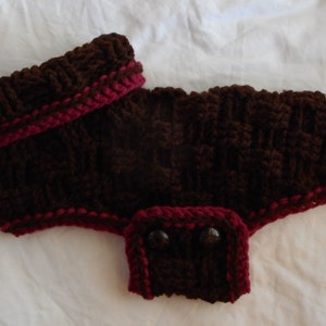 Könnte beinhalten: Ein brauner gehäkelter Hundepullover mit burgunderfarbenem Besatz und zwei schwarzen Knöpfen.