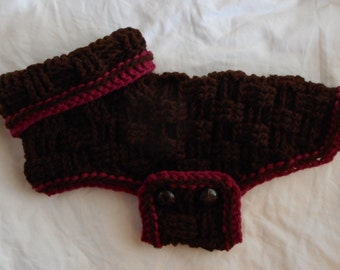 Crochet Dog Sweater Pattern: Size Small (PDF Pattern)