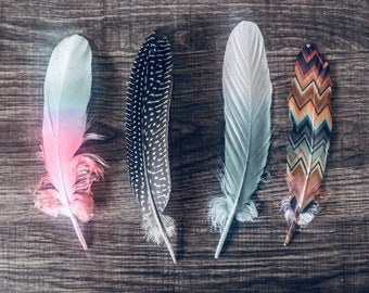 smudging feathers