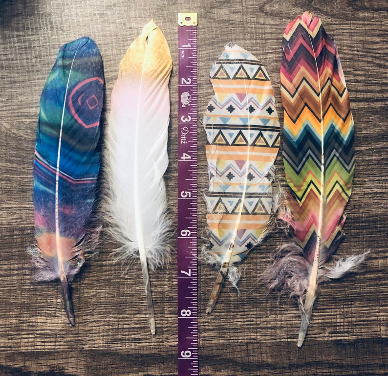 painted smudge feathers image 2