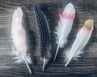 Painted Goose & Quail Feathers ~ Ritual Smudging Tools | Set of Four