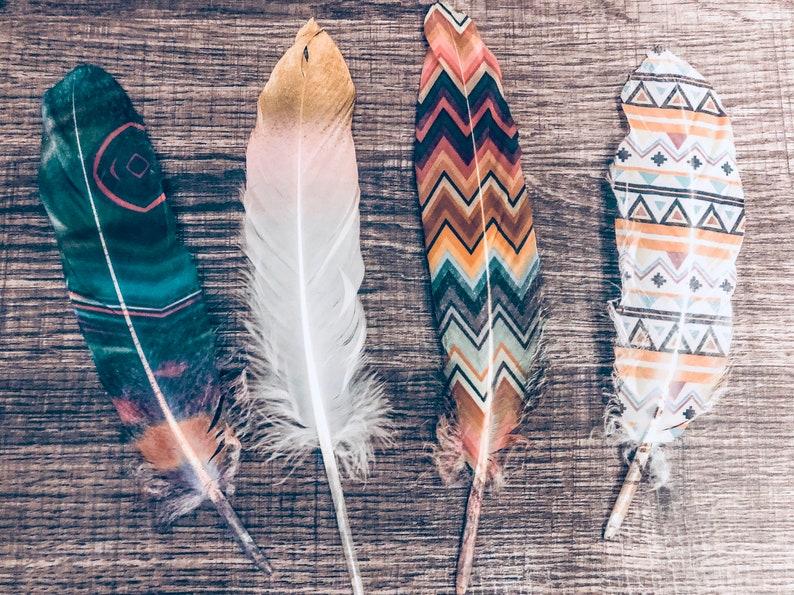 painted smudge feathers image 1