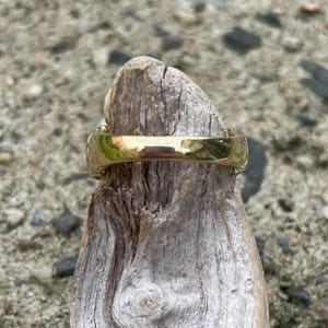 Puede incluir: Un anillo de color dorado con una superficie lisa y redondeada. El anillo est&aacute; sentado en un trozo de madera a la deriva.