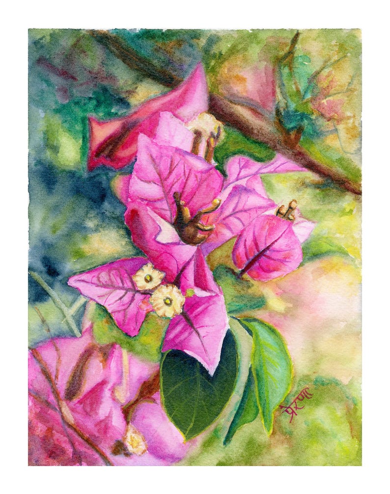 Magenta Bougainvillea Watercolor Painting Print by Prerana Kulkarni 8x10inches,watercolor art print,Bougainvillea art,Tropical Pink Magenta