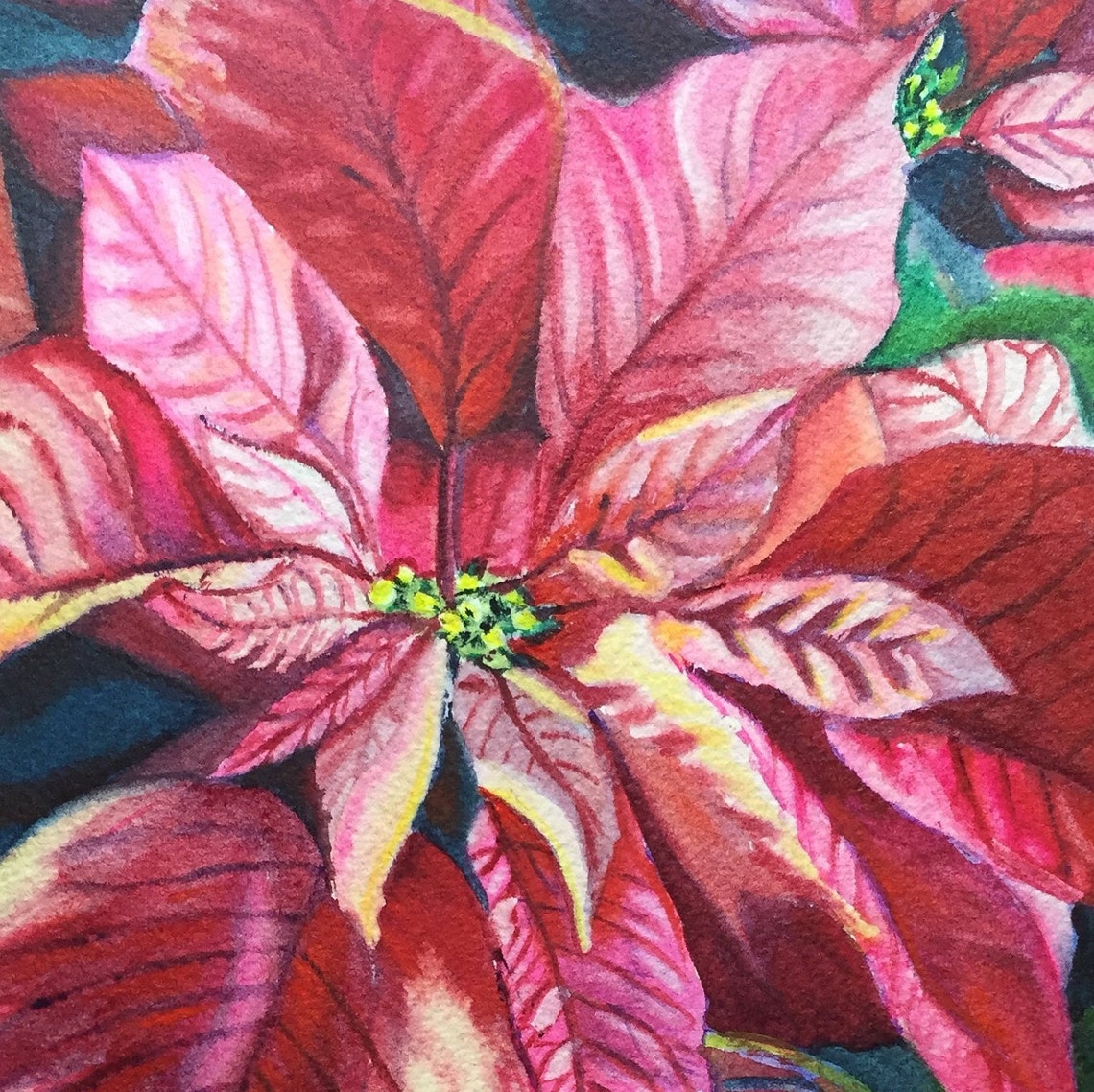 Poinsettia Watercolor Painting Print by Prerana Kulkarni 9x12 Etsy