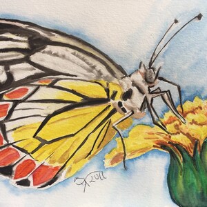 DIY ICanPaint Butterfly on Flower, Instructions aquarelle étape par étape, pour débutants, TÉLÉCHARGEMENT NUMÉRIQUE