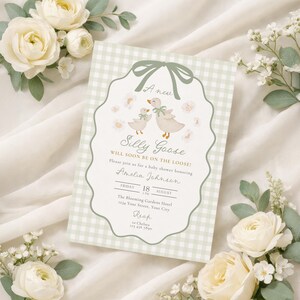 May include: A baby shower invitation with a light green gingham background and a decorative border. The invitation features two cartoon geese and the text "Silly Goose WILL SOON BE ON THE LOOSE!" Details include the date, time, and location.