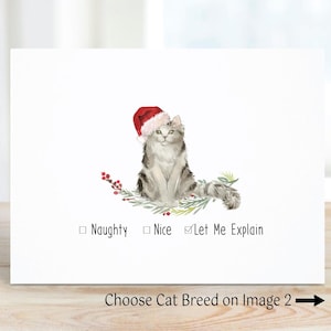 Cat Christmas Cards, Holiday Card Set, Cats, Cat Stationery, Cat Cards, Christmas Cards Cats, Pets, Family Cards, Cat Lover