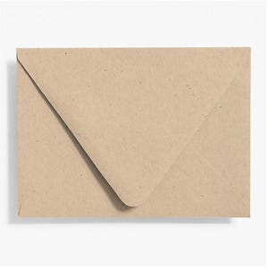 May include: A brown paper envelope with a flap.