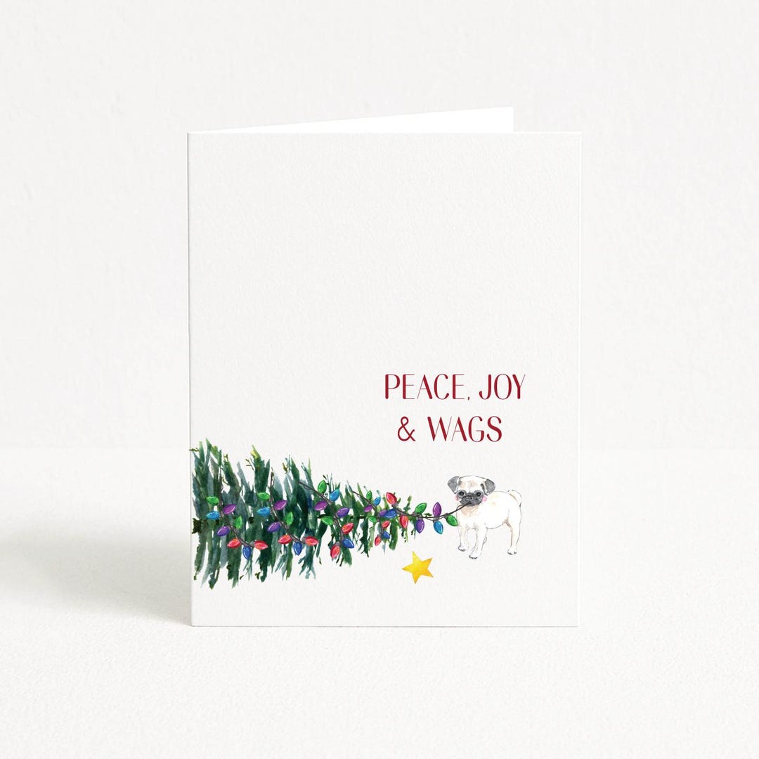 Pug Christmas Cards, Holiday Card Boxed Set - Etsy
