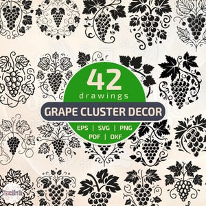 Grape vine stencil bundle – 42 elegant grape leaf & wine label designs | vintage vineyard patterns | svg png eps dxf pdf