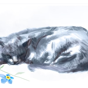Russian Blue Cat Sympathy Card, Cat Bereavement Card, 5x7 Card, Cat Print, Russian Blue Sympathy Car, Pet Loss Card, Russian Blue Drawing