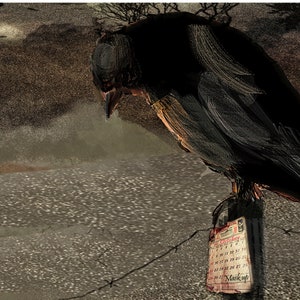 Crow Print 8x10, Halloween Print Haunting Eerie Crow