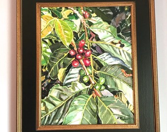 Colombia Coffee Plant Painting Colombian Medellin, Concordia, plant botanical Still Life South America  Farm Finca Art Gwen Meyerson